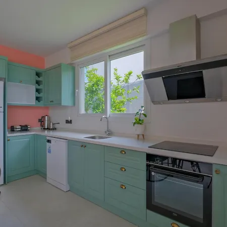 Vila Woynpoint Uzay Fethiye
